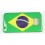 Coque Drapeau Brésilien Samsung Galaxy S2 / I9100