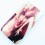 Coque IPhone 3G /3GS marylin monroe